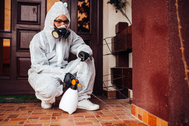 Reliable Bed Bug Control contractor in Isle of Palms, SC by Nex Pest Control