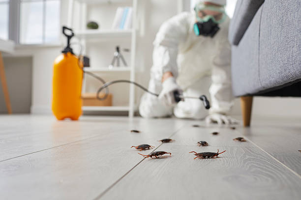 Trusted Fumigation Services service in Isle of Palms, SC - Nex Pest Control