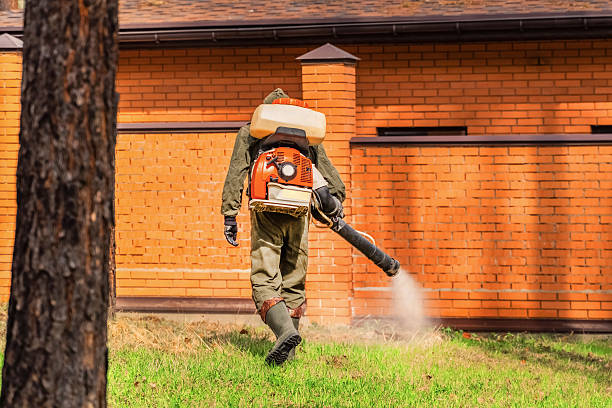 Trusted Termite Control service in Isle of Palms, SC - Nex Pest Control